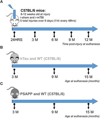 Unbiased Proteomic Approach Identifies Unique and Coincidental Plasma Biomarkers in Repetitive mTBI and AD Pathogenesis